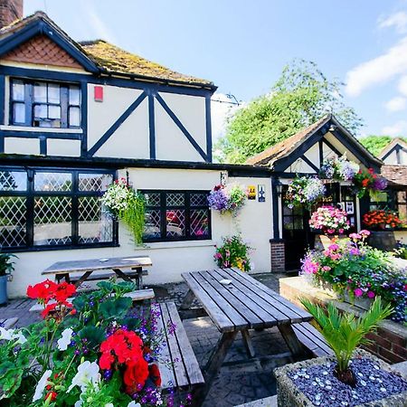 Ye Olde Red Lion Bed & Breakfast Newbury  Luaran gambar